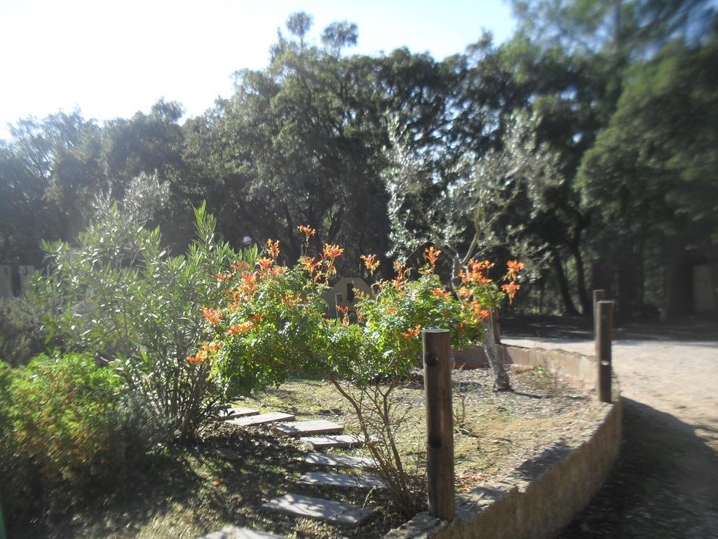Quinta Do Outeiro Alto Villa Constância Екстериор снимка
