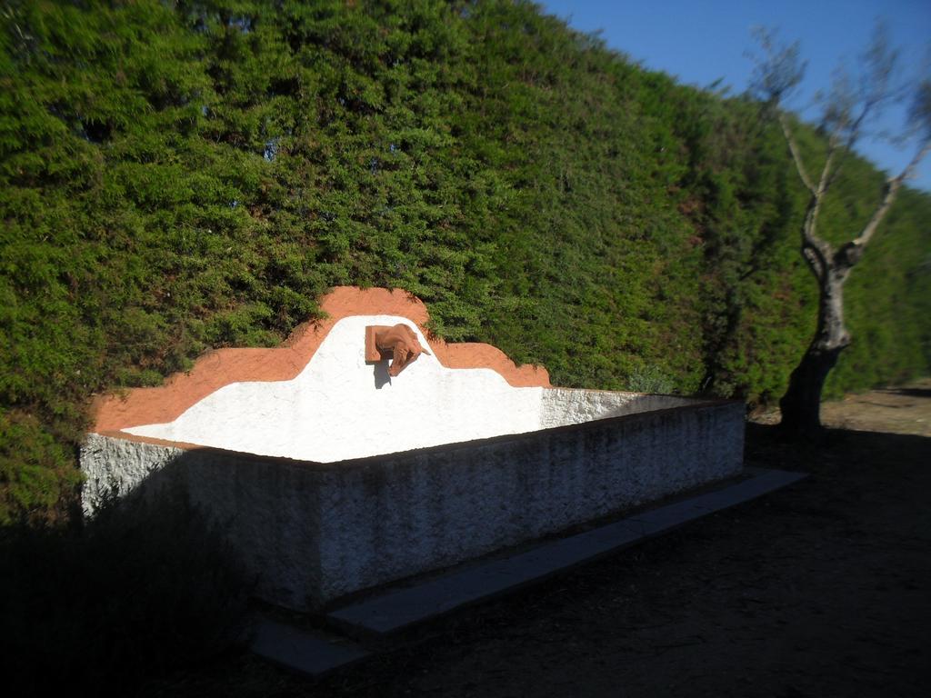 Quinta Do Outeiro Alto Villa Constância Екстериор снимка
