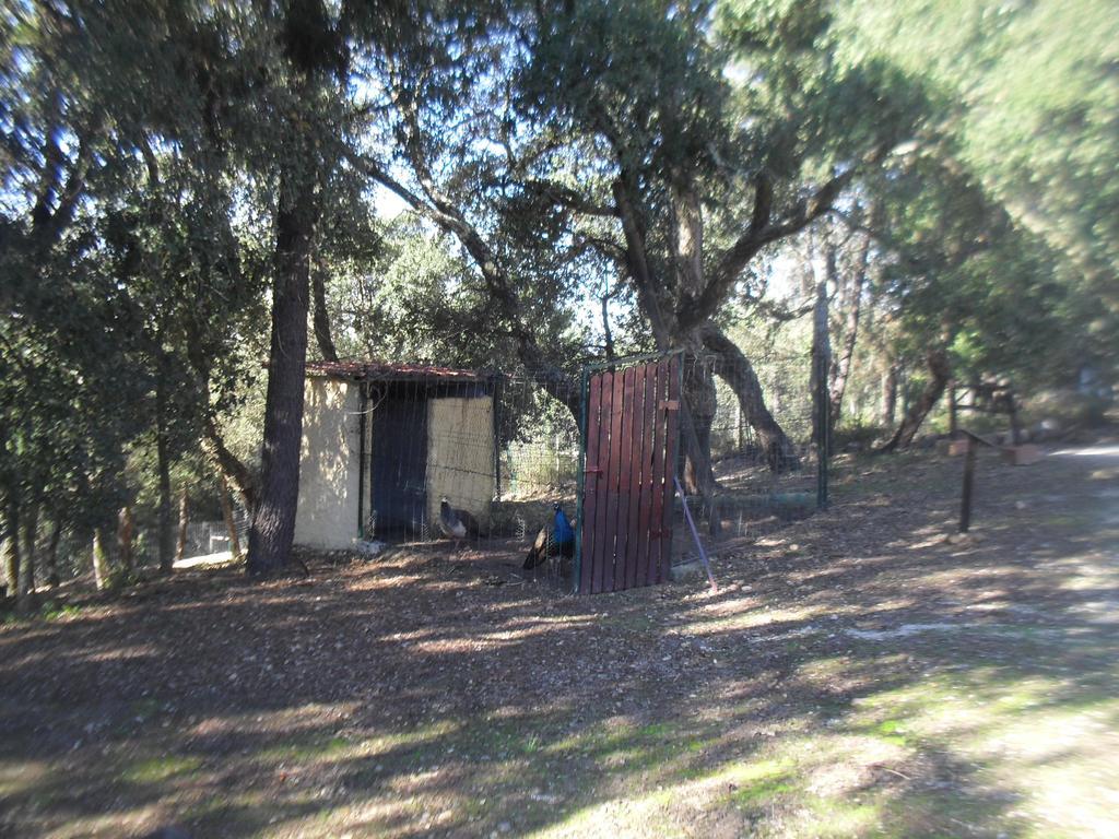 Quinta Do Outeiro Alto Villa Constância Екстериор снимка