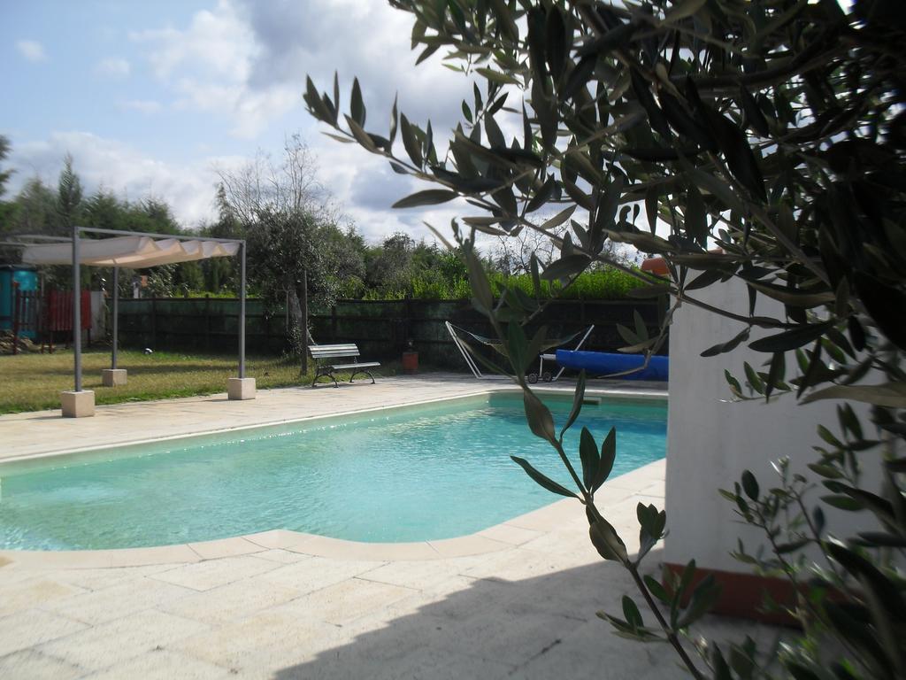 Quinta Do Outeiro Alto Villa Constância Екстериор снимка
