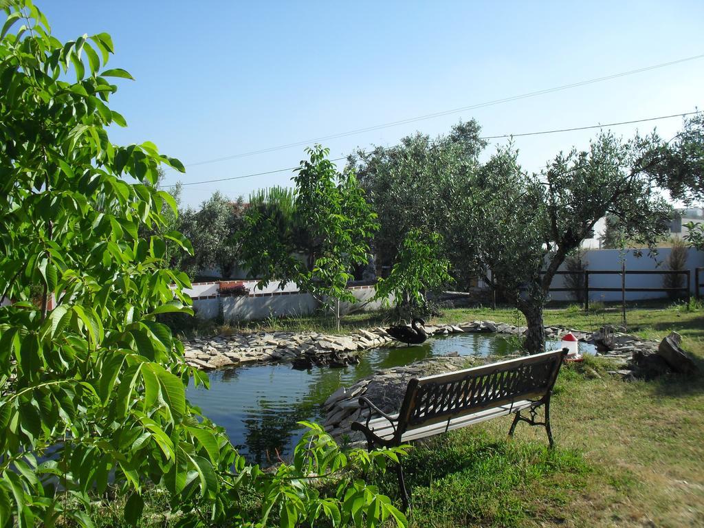 Quinta Do Outeiro Alto Villa Constância Екстериор снимка