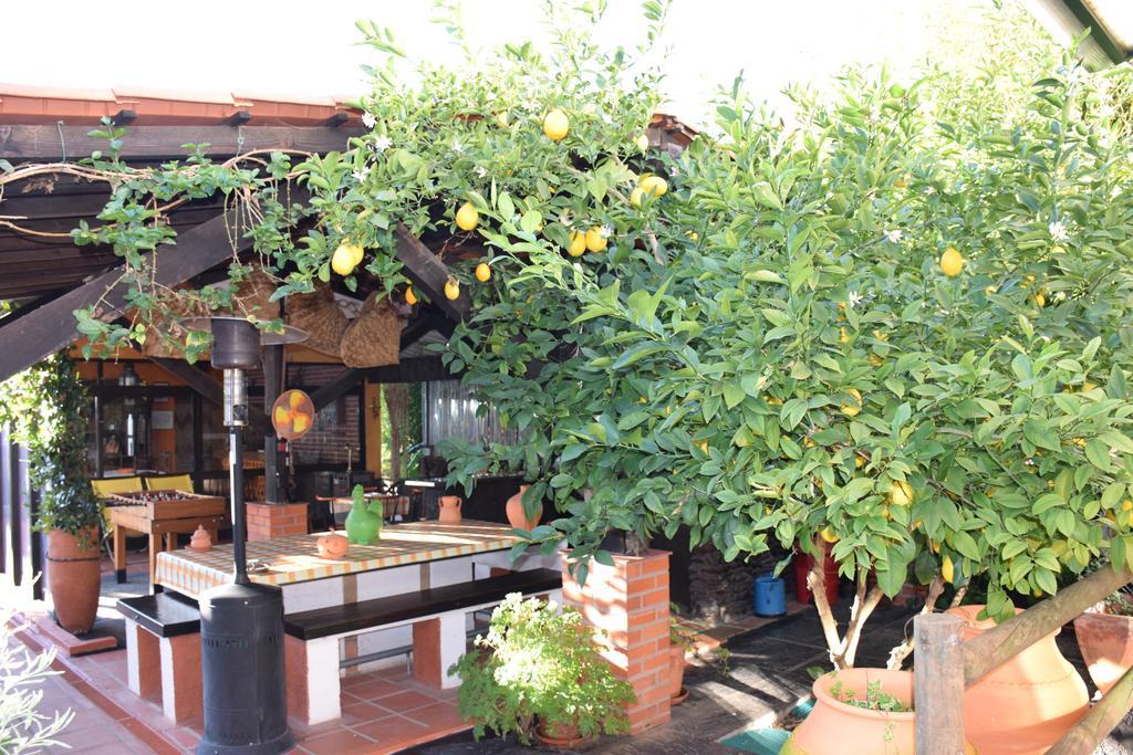 Quinta Do Outeiro Alto Villa Constância Екстериор снимка