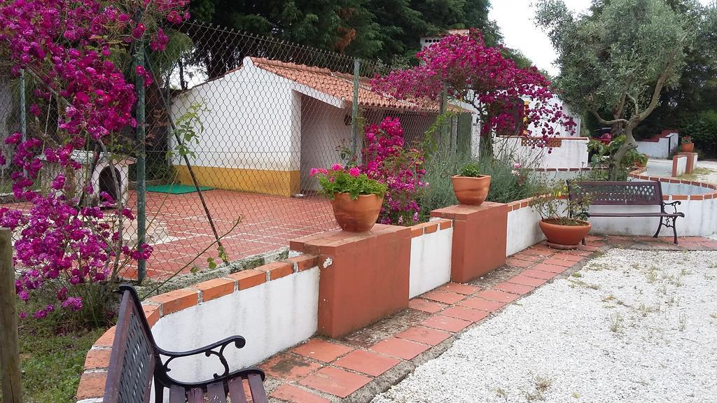 Quinta Do Outeiro Alto Villa Constância Екстериор снимка