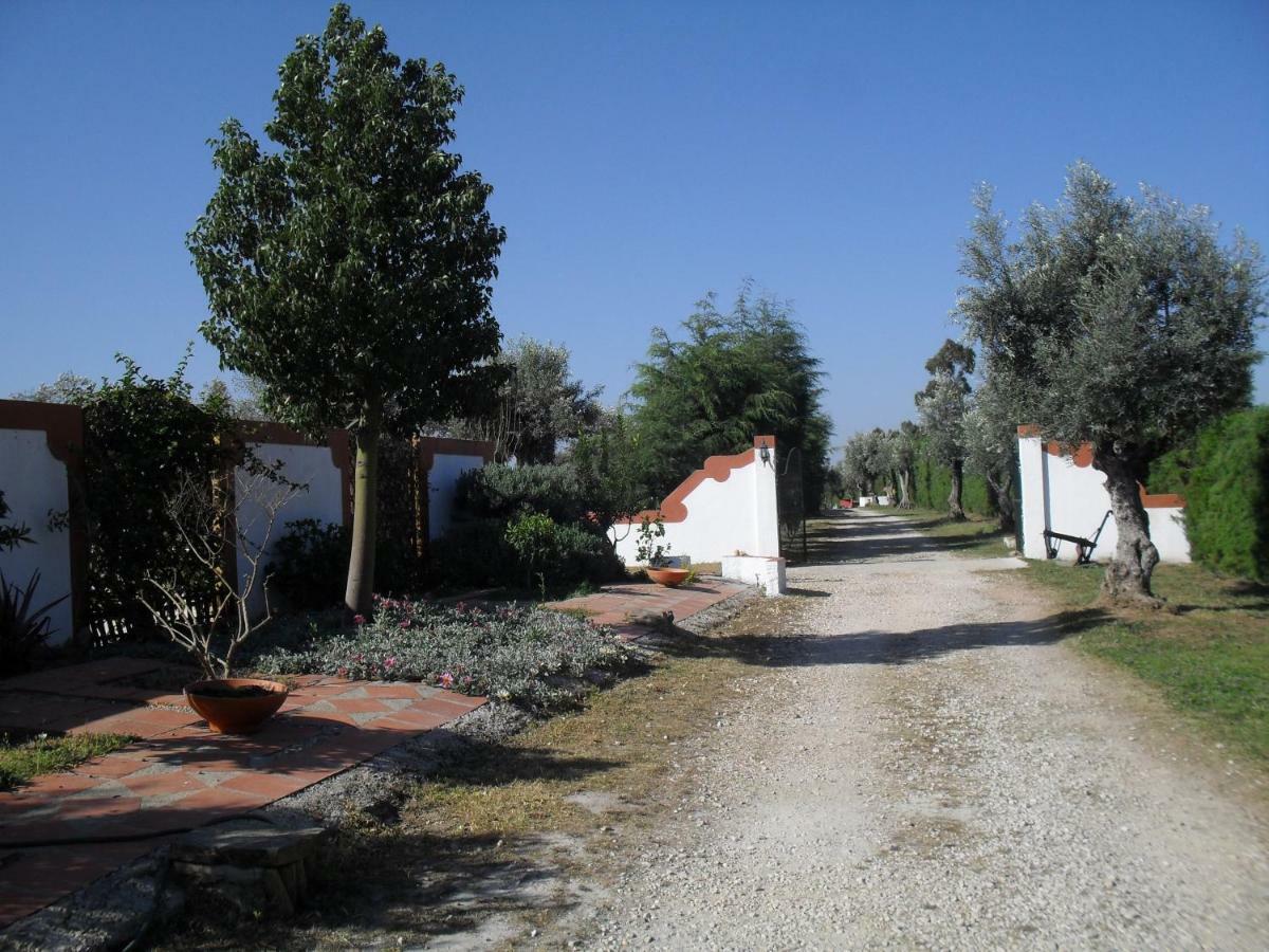 Quinta Do Outeiro Alto Villa Constância Екстериор снимка